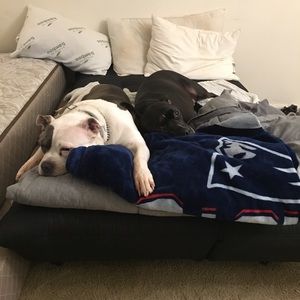 Meet your Posher, Laurie